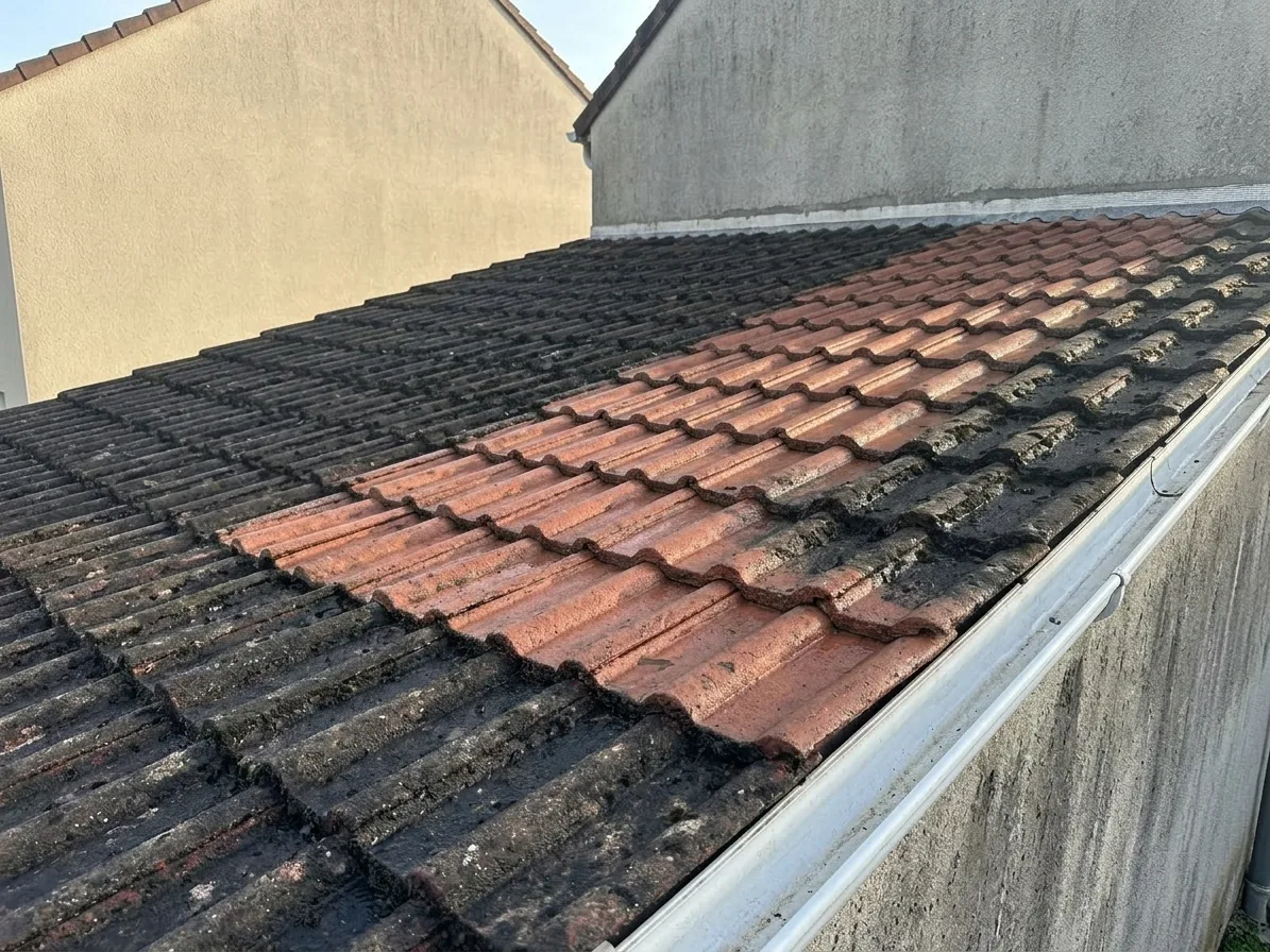 Démoussage de toiture à Coulommiers